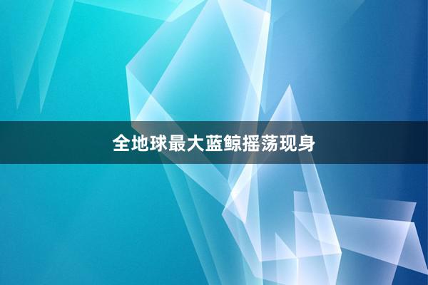 全地球最大蓝鲸摇荡现身