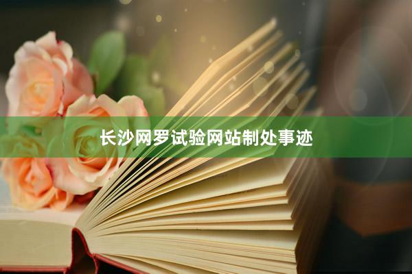 长沙网罗试验网站制处事迹
