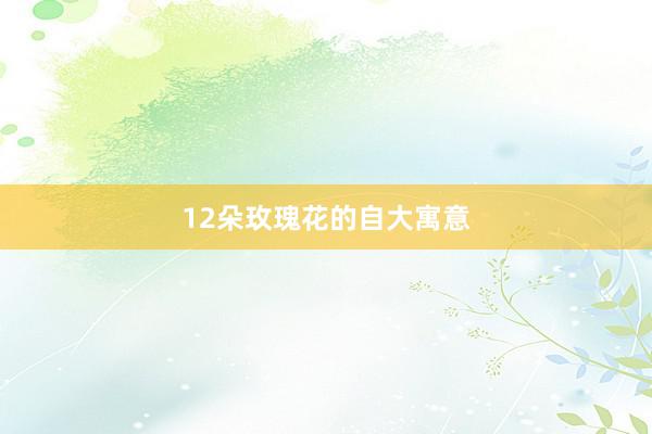 12朵玫瑰花的自大寓意