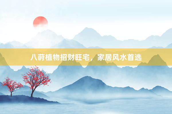 八莳植物招财旺宅，家居风水首选