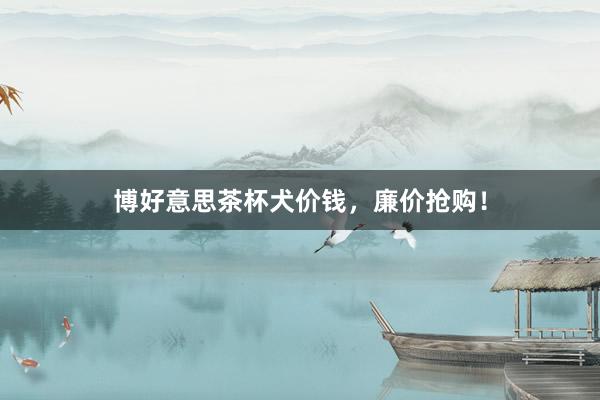 博好意思茶杯犬价钱，廉价抢购！