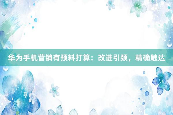 华为手机营销有预料打算：改进引颈，精确触达